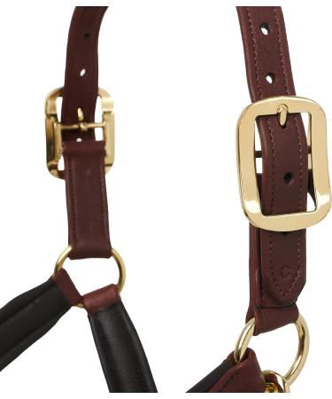 LeMieux Anatomic Headcollar for Horses - Padded Leather & Metal Fittings - Adjustable Full Brown - Buy Online on GoSupps.com