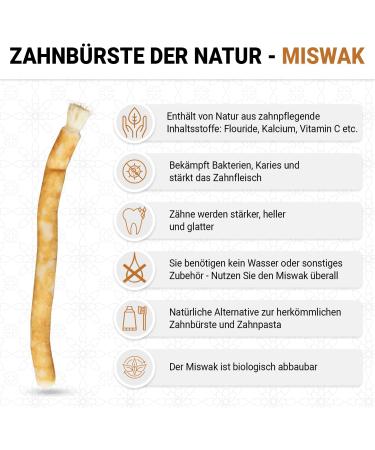 Buy eSelam Miswak Pack of 4 | Natural Wooden Toothbrush for Healthy Teeth | Premium Quality Dental Care - Buy Online on GoSupps.com