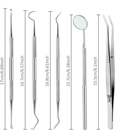 Tartar Remover Dog Tooth Cleaning Kit | Stainless Steel Dental Care Set | 5-Piece Tooth Cleaning Tool for Pets with Metal Case - Buy Online on GoSupps.com