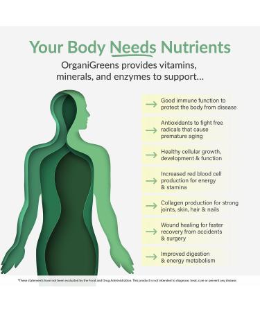 Organixx Greens Superfood Powder with Probiotic Digestive Enzymes Gluten Free Vegan Daily Super Greens Powder Supplement Drink Mix for Gut Health Immune Support & Energy Organic Non GMO 10 oz - Buy Online on GoSupps.com