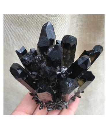 Natural Crystal Rough Natural Black Smokey Quartz Crystal Cluster Specimen Crystal Cluster (Size : 800-900g)