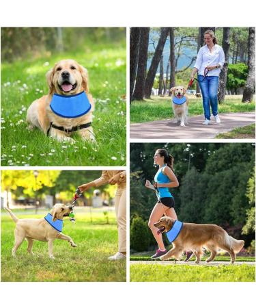 Bimhayuu Pet Cooling Dog Collars & Neckerchiefs Breathable Heat Discharge for Summer Comfort (M) - Buy Online on GoSupps.com
