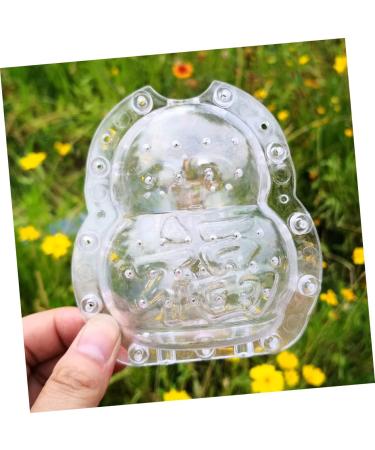 Anneome 2pcs Vegetable Shaping Mold Fruit Cucumber Shaping Molds Adorable Melon Mold Watermelon Pumpkin - Buy Online on GoSupps.com