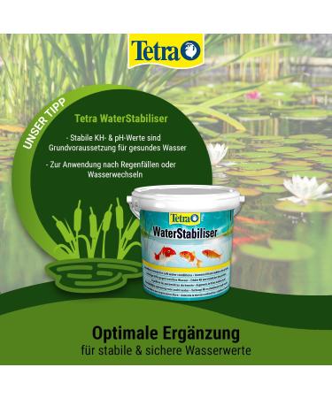Tetra Pond AquaSafe - 500ml Bottle | Make Tap Water Safe for Fish & Plants in Garden Ponds - Buy Online on GoSupps.com