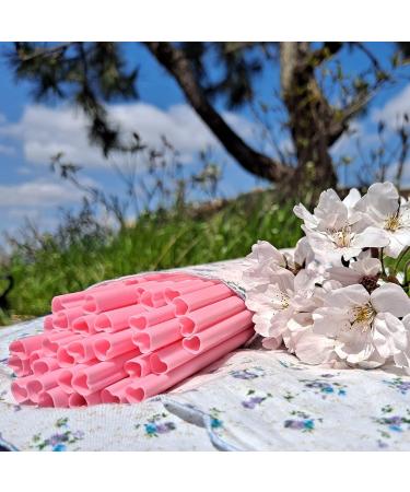 100pcs Heart Shaped Pink Straws Disposable Drinking Cute Straws Individually Wrapped Plastic for Valentine's Day Cocktail Birthday Party Kids Bridal Shower Wedding Supplies - Buy Online on GoSupps.com
