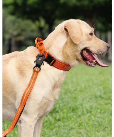 Joytale Tactical Dog Collar for Large Dogs | Durable Orange Dog Collar with Handle & QR Code Tag | Shop Now! - Buy Online on GoSupps.com