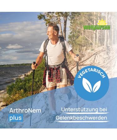 Wellpursan Arthronem Plus - 90 Joint Support Capsules with MSM & Vitamin C for Osteoarthritis Relief - Buy Online on GoSupps.com