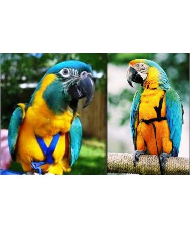 AVIATOR Pet Bird Harness & Leash - Large Blue - Secure & Comfortable - Buy Online on GoSupps.com