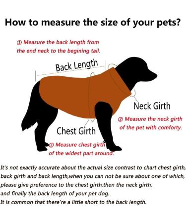 SILD Pet Clothes Dog Jeans Jacket | Cool Blue Denim Coat for Small & Medium Dogs | Classic Hoodies & Vintage Washed XS Blue - Buy Online on GoSupps.com