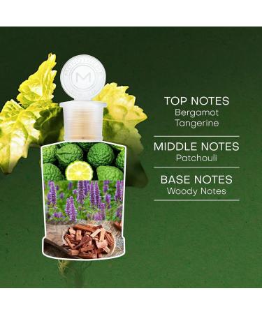 Mo.notheme Patchouly Leaves EDT Perfume for Men - Woody Fragrance with Notes of Patchouli Bergamot & Citrus - Long-lasting Luxury Fragrance - Eau de Toilette Masculine Perfume -100 ml - Buy Online on GoSupps.com