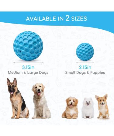 Indestructible Nobleza Dog Ball - Natural Rubber Squeaky Interactive Toy | Robust 5.5cm Dog Ball for Hours of Fun - Buy Online on GoSupps.com