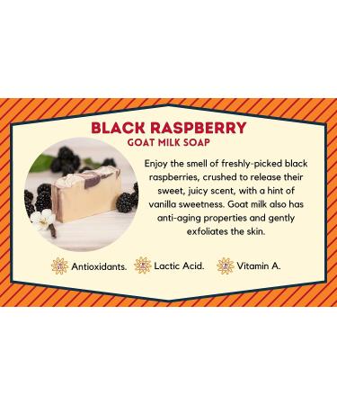 Goat Milk Stuff Black Raspberry Soap - Farm-Fresh Goat Milk, Handmade for Face, Natural Skin Renewal - 2 Count Pack - Buy Online on GoSupps.com