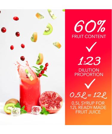 x Light - Low Carb - Fitness FruttaMax Syrup | Zero Sugar | With Stevia | 50-60% Fruit Content (2 x 500 ml) (2 x Blueberry Light) - Buy Online on GoSupps.com