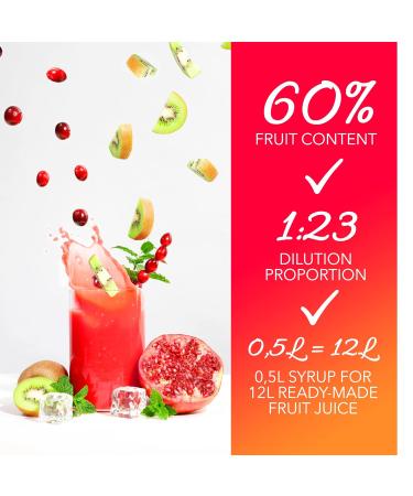 Light Holunder-Lime-Mint Fitness Syrup | Sugar-Free | 60% Fruit Content with Stevia | 500ml | Fruttamax Beverage Syrup for International Shipping - Buy Online on GoSupps.com