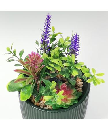 Earnest Living Essential Oil Diffuser - Ceramic Succulent Pot 100ml Night Light Timer & Auto-Off Function for Lavender Aromatherapy - Buy Online on GoSupps.com