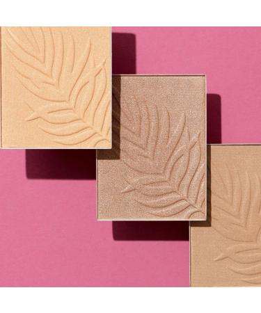 WET N WILD Color Icon Bronzer - What Shady Beaches | Buy Internationally Flawless Glow - Buy Online on GoSupps.com