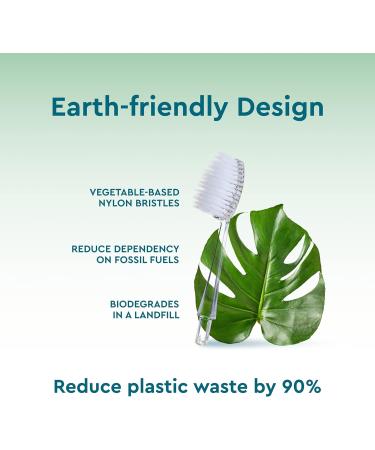RADIUS Toothbrush Replacement Brush Heads 2-Count - Improve Gum Health, Reduce Gum Issues - Soft Bristles - Pack of 3 - Buy Online on GoSupps.com