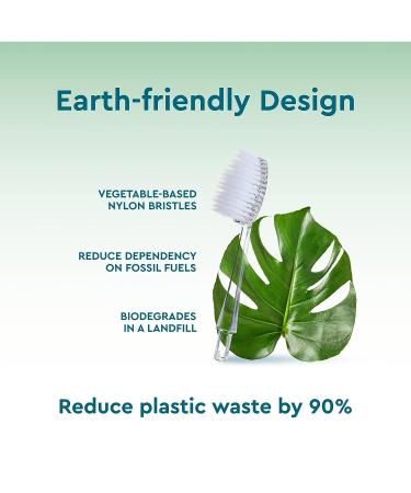 RADIUS Toothbrush Replacement Brush Heads - 2-Count for Gum Health - Super Soft - Pack of 1 - Buy Online on GoSupps.com