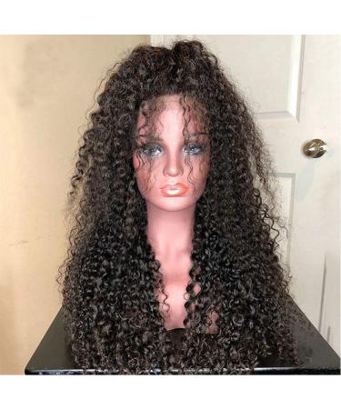 Buy Curly Human Hair Wig | Lace Front Long Wavy Synthetic Wigs for Women | 14-Inch Heat-Resistant Real Hair Wig with Baby Hair - Buy Online on GoSupps.com