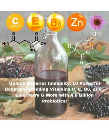 ImmunoShield Elderberry Plus with Vitamin C - Comprehensive Immune Digestive & Skin Health Formula - Vitamin E B6 Zinc Echinacea Garlic Turmeric - GMP Certified - Buy Online on GoSupps.com