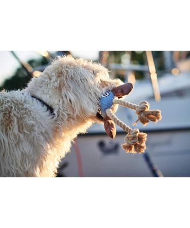 HUNTER Dog Toy Canvas Sansibar Rantum Lobster - 43 cm Durable & Fun for Dogs | International Shipping Available - Buy Online on GoSupps.com