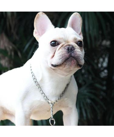 BAIYSFFG Metal Choke Chain for Dog Dog Choker Silver Plating No Pull Pet Collar Chain for Medium Dogs Training Walking (55cm) - Buy Online on GoSupps.com