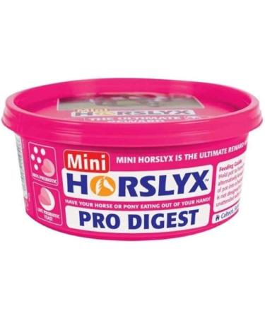 Horslyx Mini Pro Digest Horse Supplement Lick 0.65 kg 650 g - Buy Online on GoSupps.com
