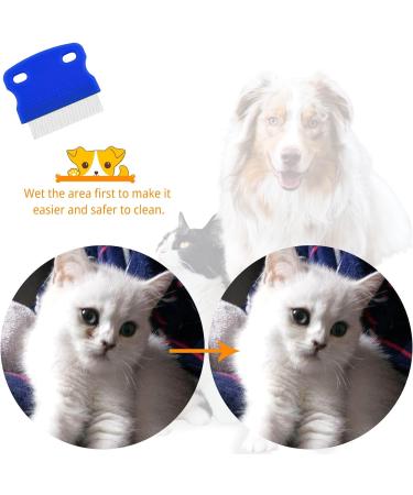 2 Pcs Cat Combs Flea Comb for Cats Dogs Lice Tear Stain Remover Combs Fine Tooth Grooming Removal Tool (Blue 2Pcs) - Buy Online on GoSupps.com