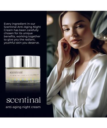 Scentinal Anti-Aging Night Cream with Hyaluronic Acid - Overnight Rejuvenation for Radiant Skin - 50ml/1.7oz | International Shipping Available - Buy Online on GoSupps.com
