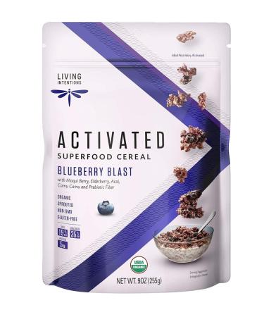 Living Intentions Organic Superfood Cereal – Blueberry Blast – NonGMO – Gluten Free – Vegan Paleo – Kosher – 9 Ounce Unit