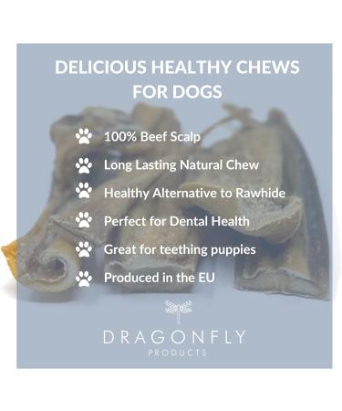 Dragonfly Beef Scalp Dog Chews 250g | Grain-Free & Long Lasting | Non-Rawhide Alternative | Natural Raw Treat Stick for Medium to Large Breeds - Buy Online on GoSupps.com