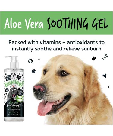 BUGALUGS Aloe Vera Gel for dogs & cats 500ml - soothing itchy dog skin relief 99% pure bio active aloe vera is a great dog moisturiser for dry skin stings insect bites & after sun care for pets 500 ml (Pack of 1) - Buy Online on GoSupps.com