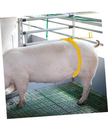 Pig Insemination Rods Stand | Sperm Feeding Holder | Artificial Insemination Bracket - Buy Online on GoSupps.com