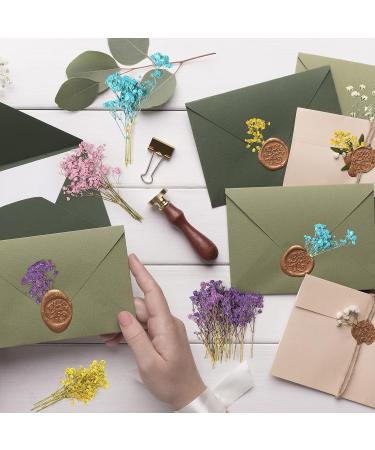 Dried Babys Breath Flowers - 100 Pcs Natural Gypsophila Branches for DIY Crafts and Gifts - Mixed Color Pressed Baby's Breath Flowers - Buy Online on GoSupps.com