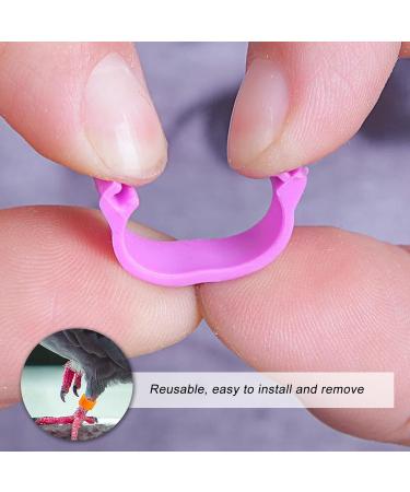 100 Bird Identification Rings - Pigeon Footrings Parrot Leg Bands & Poultry Marking Tape - 8mm Clamping Rings for Chickens Quail & More - Buy Online on GoSupps.com