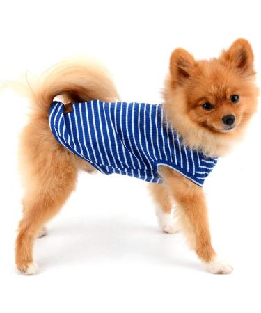 Shop Paidful 100% Cotton Summer Striped T-Shirt for Small Dogs - Blue Welpe Tee for Chihuahua & Yorkshire | Sizes M (Back Length 25cm Bust 37cm) - Buy Online on GoSupps.com