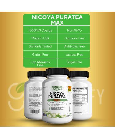 GREENVIFY Nicoya PuraTea Max Green Tea Extract & Green Coffee Bean for Metabolism Support Natural Energy Boost Antioxidant-Rich Supplement 60 Capsules - Buy Online on GoSupps.com