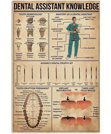Dental Assistant Knowledge Metal Tin Signs Vintage Tooth Morphology Posters Dental Clinic Dentist Office Home Wall Decor 8x12 inch Dental Assistant Knowledge 8x12inch