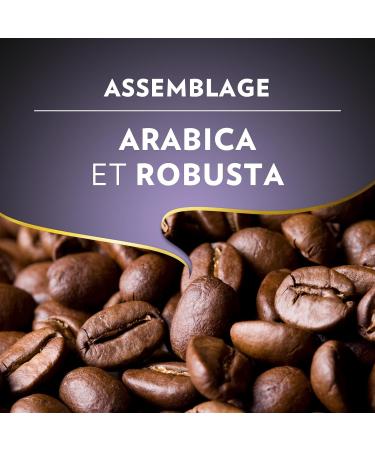 Lavazza Espresso Barista Intenso Ground Coffee 2x250g Ideal for Filter or Manual Machine with Aromatic Notes of Dried Fruit for Espresso with an Intense and Velvety Taste Robusta Intensity 9/10 500 g - Buy Online on GoSupps.com