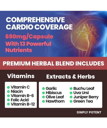 Blood Pressure Support Supplements - 13 Vitamins & Herbs for Healthy Heart, Cholesterol, Hypertension & High BP - Includes Folic Acid, Vitamins C, B6 & B12, Hawthorn, Olive Leaf, Garlic & Hibiscus - 90 Capsules - Buy Online on GoSupps.com