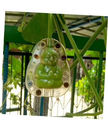 SUPVOX 5pcs Vegetable Plastic Fruit Transparent Fruit Ginseng Fruit Shaping Mini - Buy Online on GoSupps.com