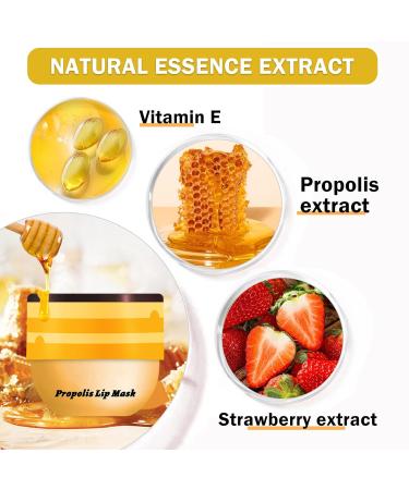 NVLEPTAP 2PCS Bee Lip Balm Honey Pot Honey Lip Balm Moisturizing Honey Lip Mask Lip Care Products Lip Balm with Wand Honey+Honey - Buy Online on GoSupps.com