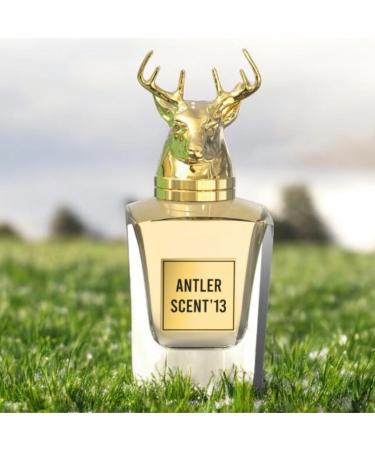 Antler Scent'13 - Luxurious Arabian Perfume for Women | Chypre Floral Scent | Alcohol Free & Long Lasting Parfum 3.4 Fl. Oz. - Buy Online on GoSupps.com