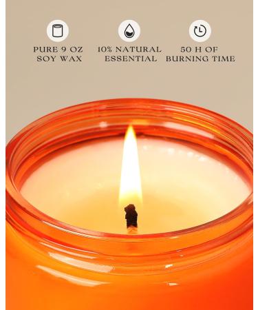 AOOVOO Spiced Pumpkin Candle - Premium Fall Soy Candles Scented Aromatherapy Candle for Women - 9 OZ - Buy Online on GoSupps.com