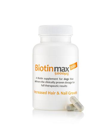 BiotinMax Vitamin Supplement for Dogs Coat & Skin Care Strongest Clinical Strength Biotin 5000 g 100 Capsules - Buy Online on GoSupps.com