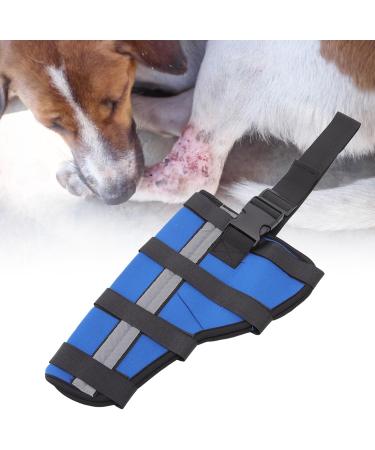 Dog Right Rear Leg Hock Brace - Prevent Injuries Provide Stability with Support Strip Neoprene Material (S) - Buy Online on GoSupps.com