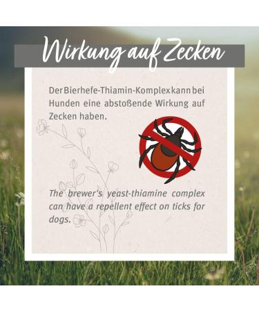 Aniforte Tick Sign for Small Dogs up to 10kg - 60 Capsules for Natural Tick Protection | Effective for Junior Adult & Senior Dogs - Buy Online on GoSupps.com