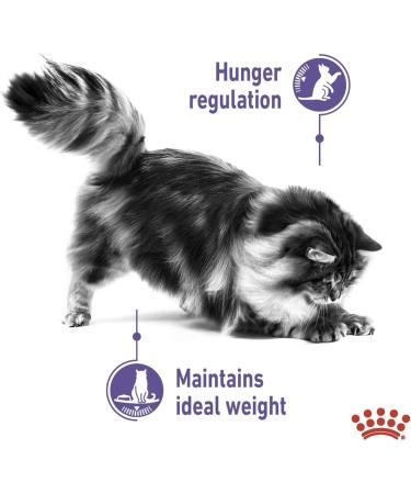Royal Canin Appetite Control in Jelly Wet Adult Cat Food (12 x 85g) - Buy Online on GoSupps.com