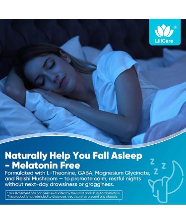 L Theanine Calm Gummies 500mg Sugar-Free Liposomal L-Theanine Supplement w/Safforn Magnesium Glycinate GABA Ashwagandha Algae Omega-3 Vitamin D3 B12 for Brain Calm Relax Mood Zzz 120Cts 60 Count (Pack of 2) - Buy Online on GoSupps.com