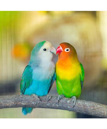 8 Pcs Bird Perches Parrot Stand Natural Wood Perch Parakeet Toys BirdCage Accessories for Conure Cockatiels Budgie Lovebird - Buy Online on GoSupps.com